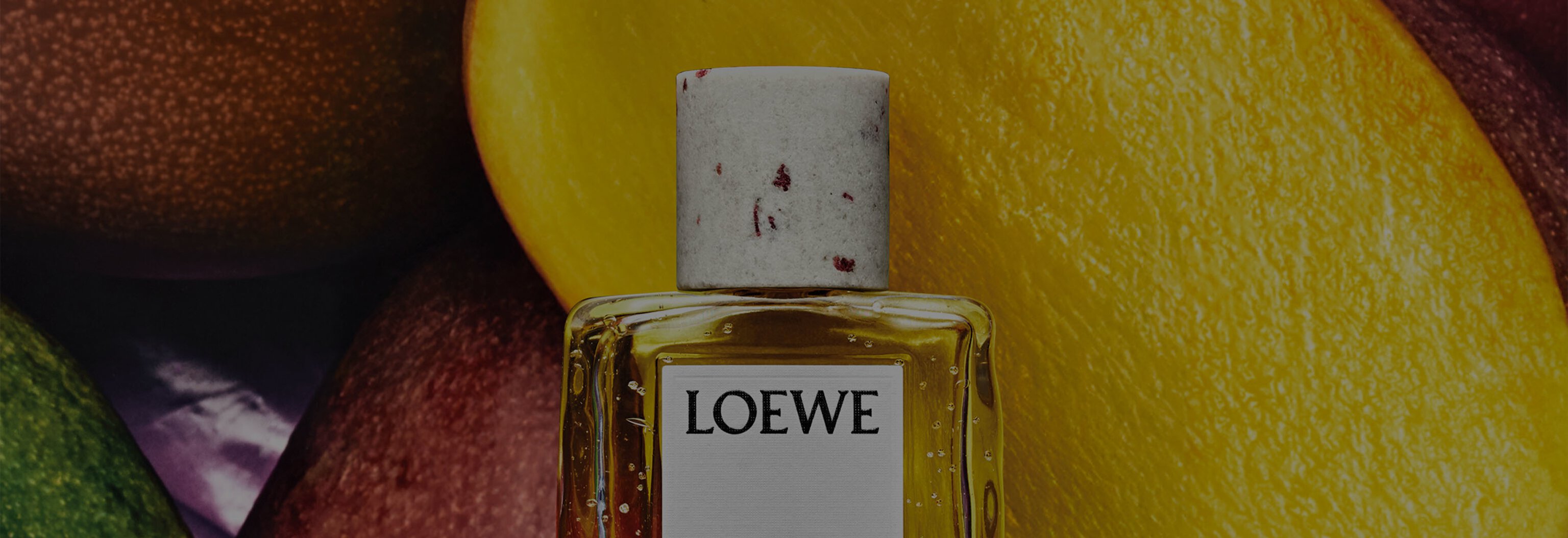 LOEWE Perfumes | Harrods UK